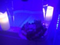 /album/notte-magica1/img-3074-jpg/